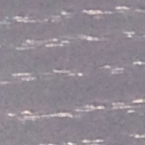 Meet your Posher, Marie -eve